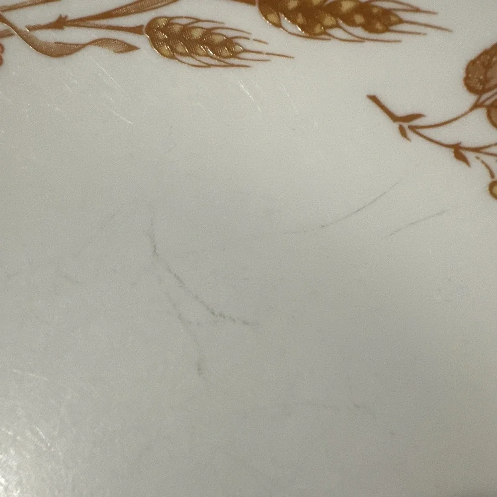 Vtg Corelle Harvest Home‎ Dinner Plate 10.25